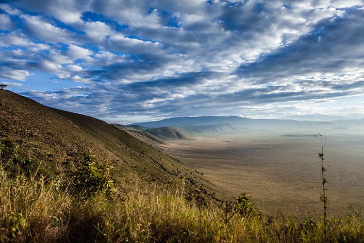 TZA ARU Ngorongoro 2016DEC26 Crater 007